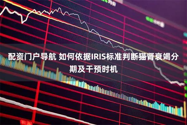 配资门户导航 如何依据IRIS标准判断猫肾衰竭分期及干预时机