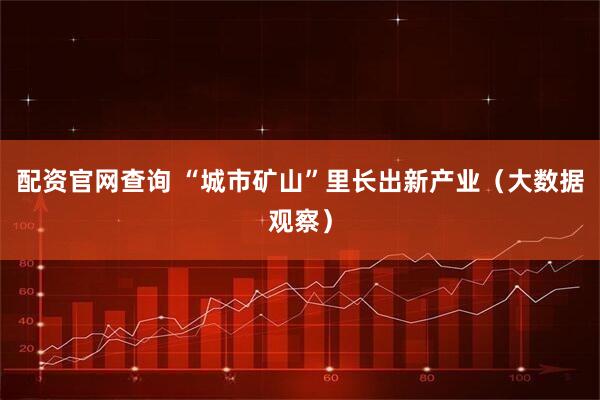 配资官网查询 “城市矿山”里长出新产业（大数据观察）